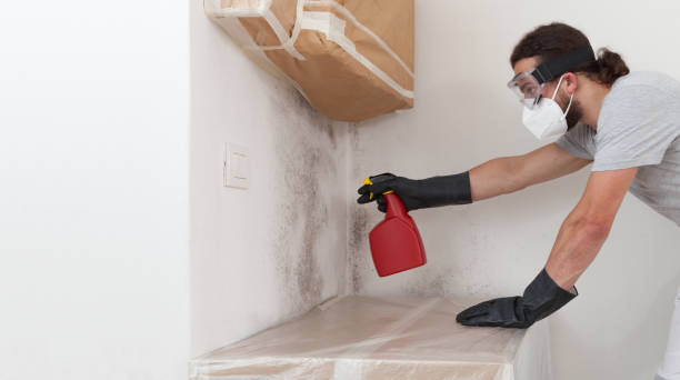 Professional Mold Inspection And Testing technician working in Bellevue, MI