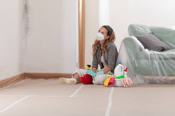 Reliable Mold Inspection And Testing contractor in Bellevue, MI by Mold Remediation HQ